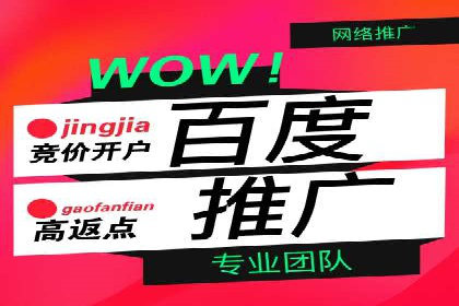 行业领先的SEM竞价广告投放案例